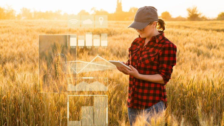 Técnico em Agrimensura